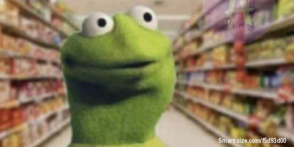 When you see a Ariana Grande at a store and dont know if its Ariana Grande or Paige Niemann-